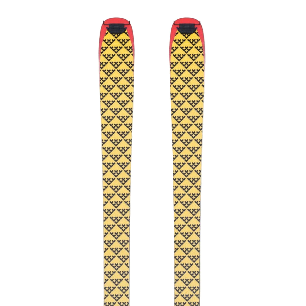 Camox Freebird Skis and Pilus Skins 2026