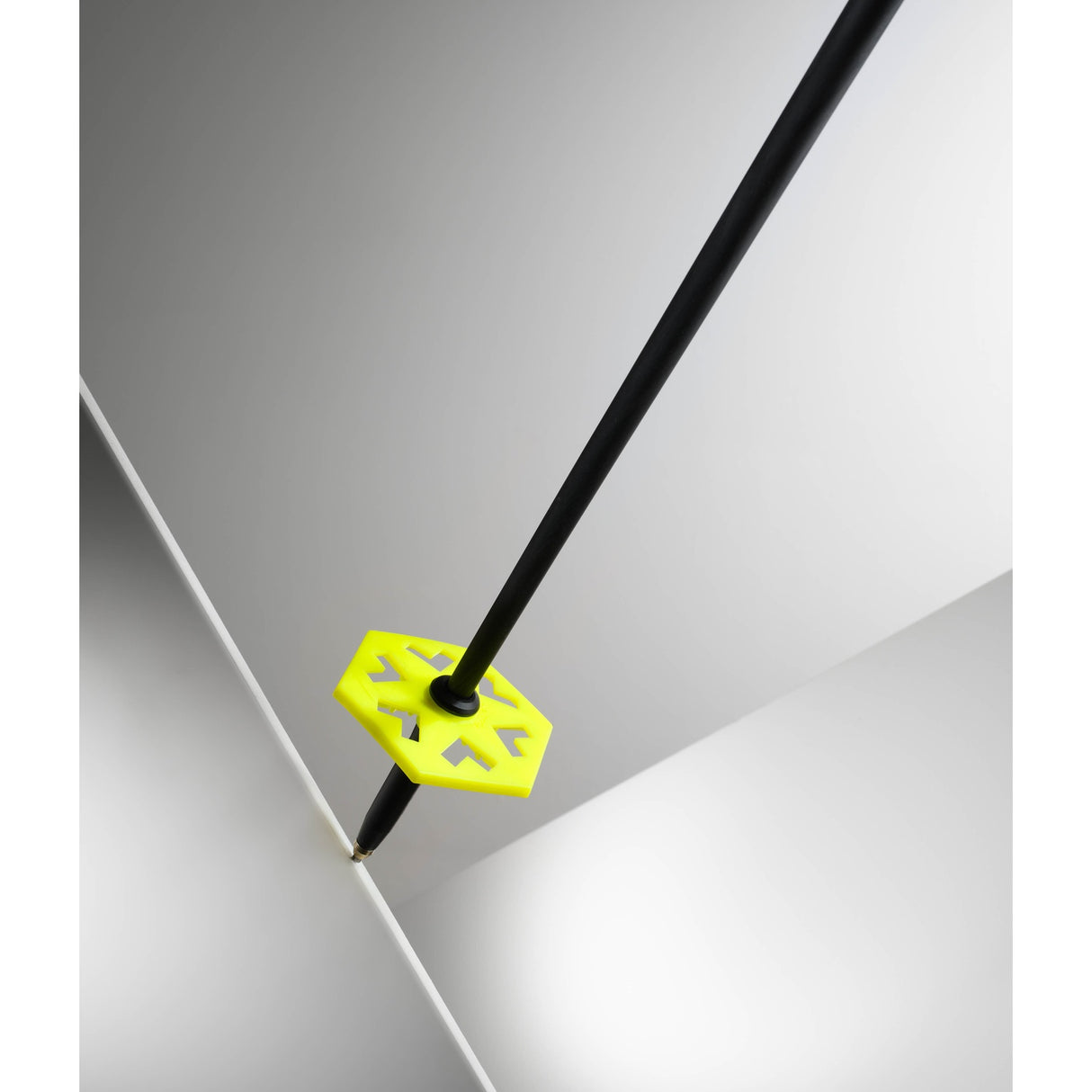 Duos Freebird Ski Poles