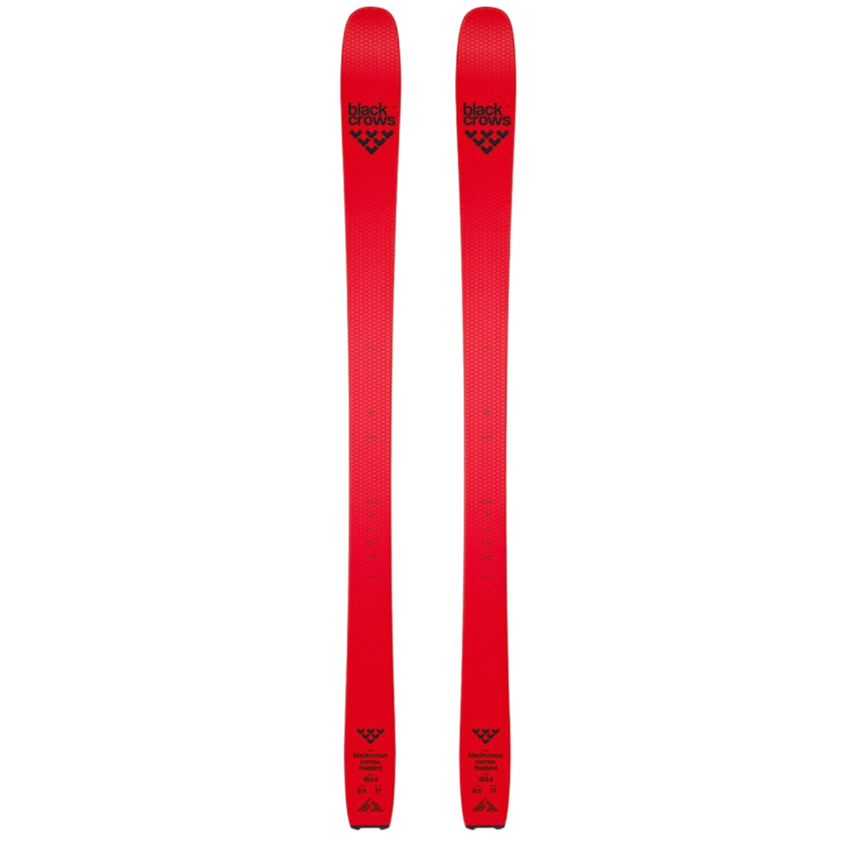 Camox Freebird Skis and Pilus Skins 2026
