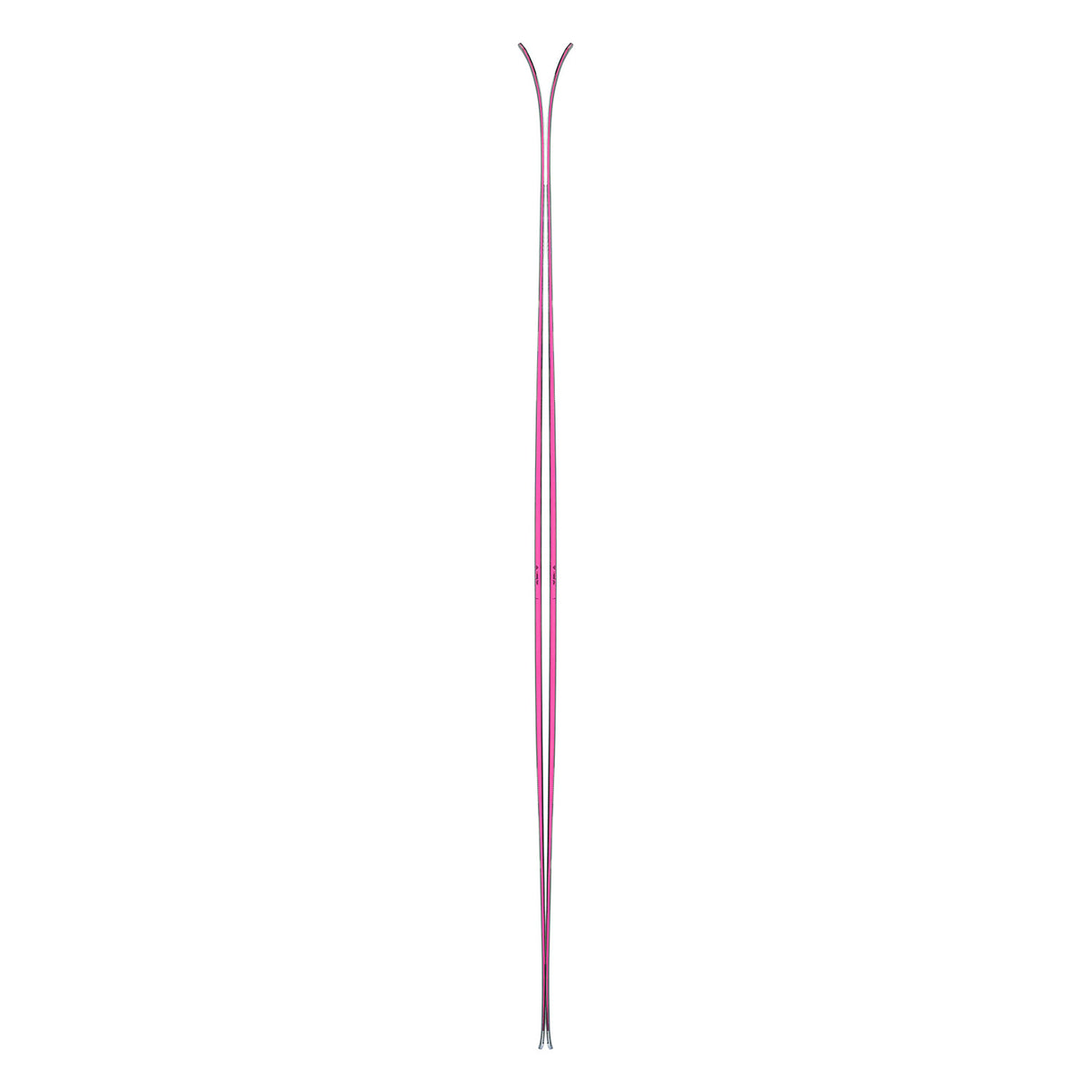 Octo Birdie Skis 2025 - Snowtrax