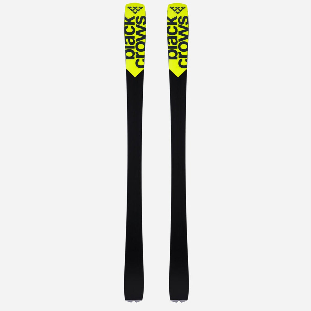 Octo Skis 2026