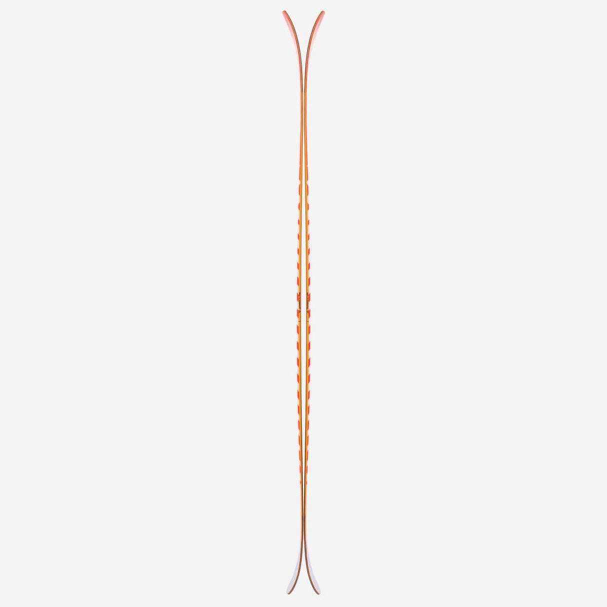 Camox Birdie Skis 2026