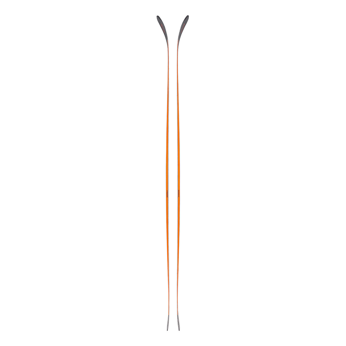 Anomaly 88 Skis 2025 - Snowtrax