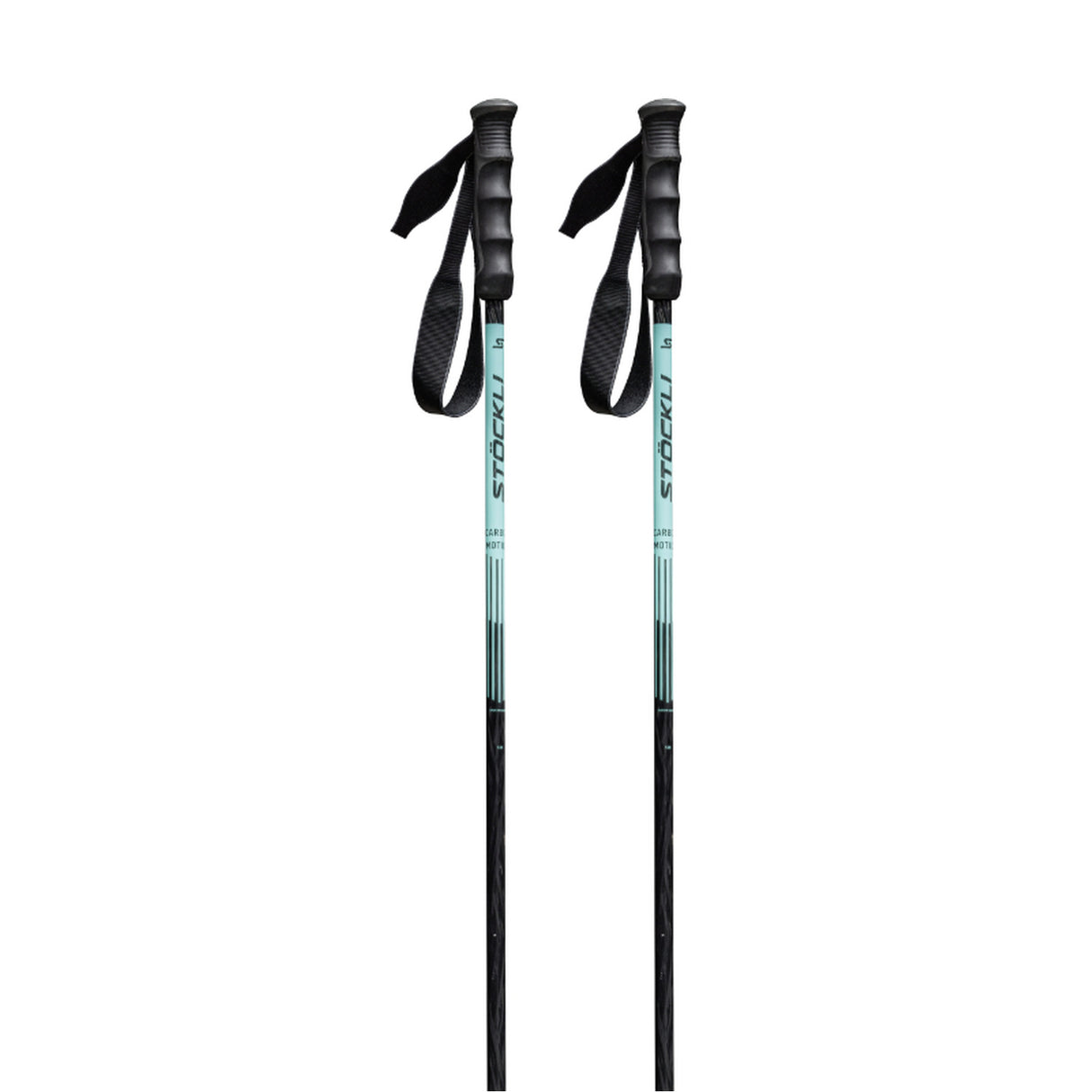 Carbon Motion Ski Poles
