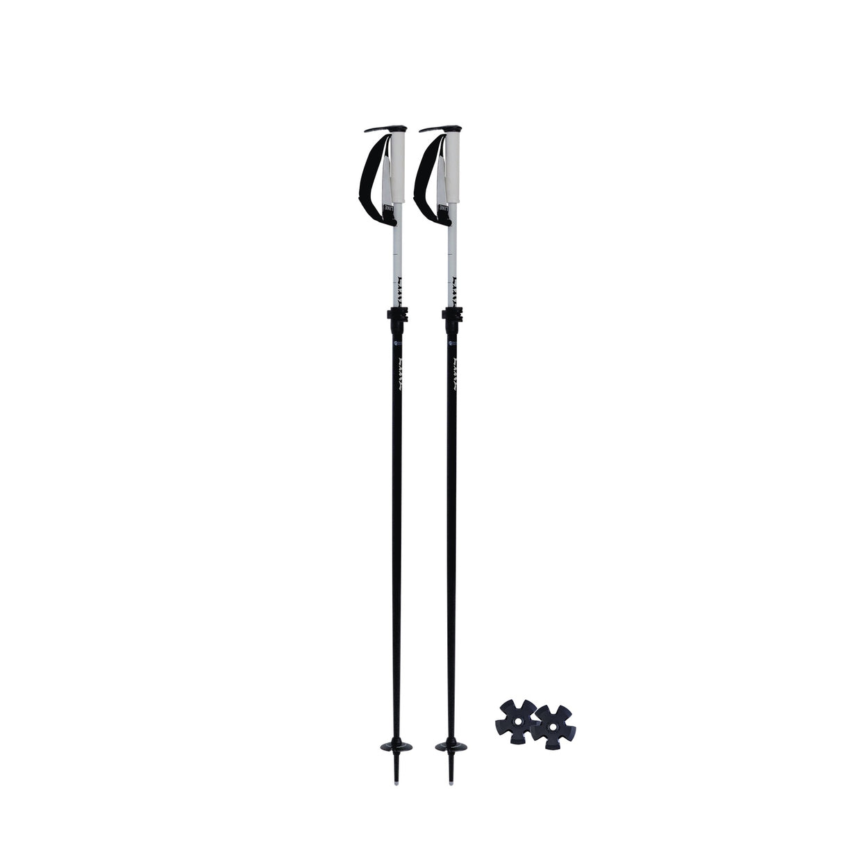 Paintbrush Ski Poles