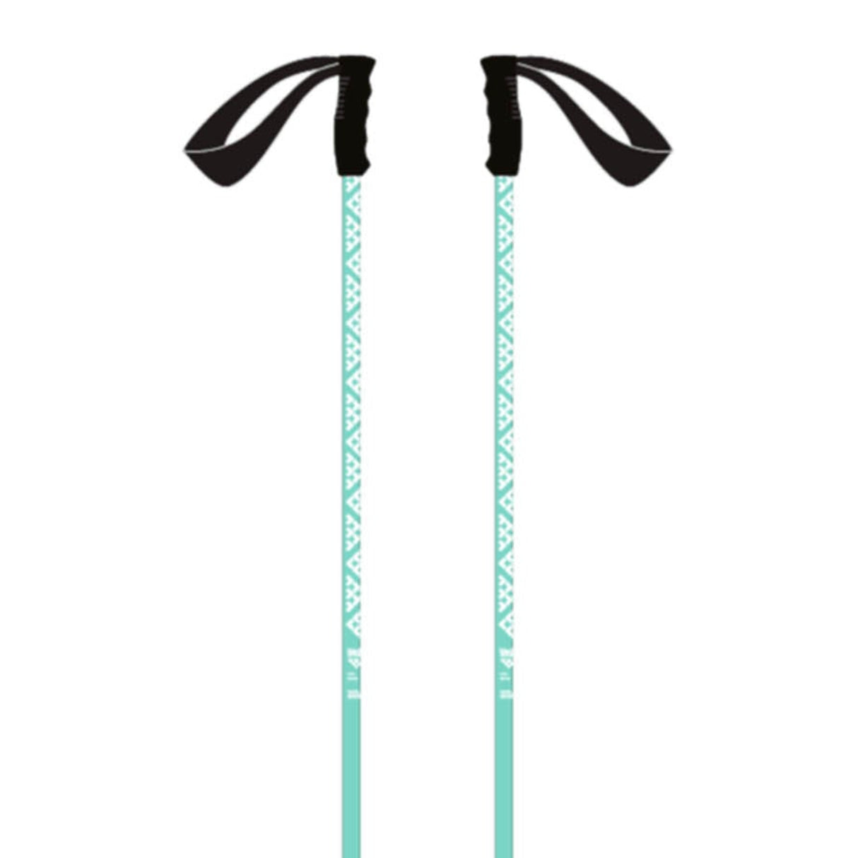 Meta Ski Poles