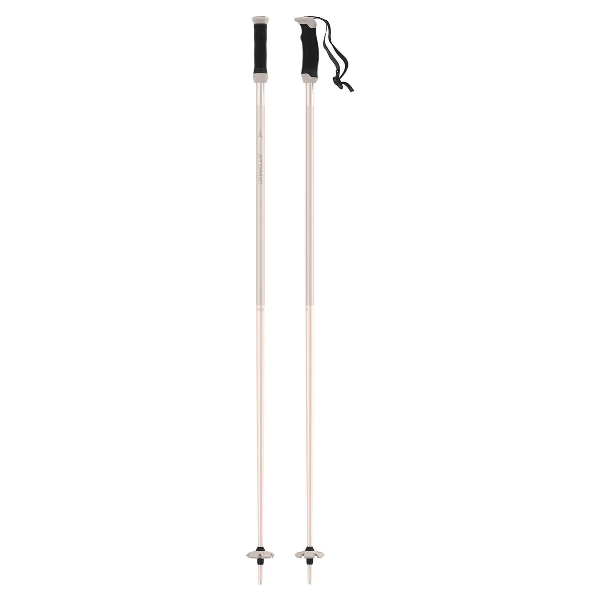 AMT SQS W Ski Pole