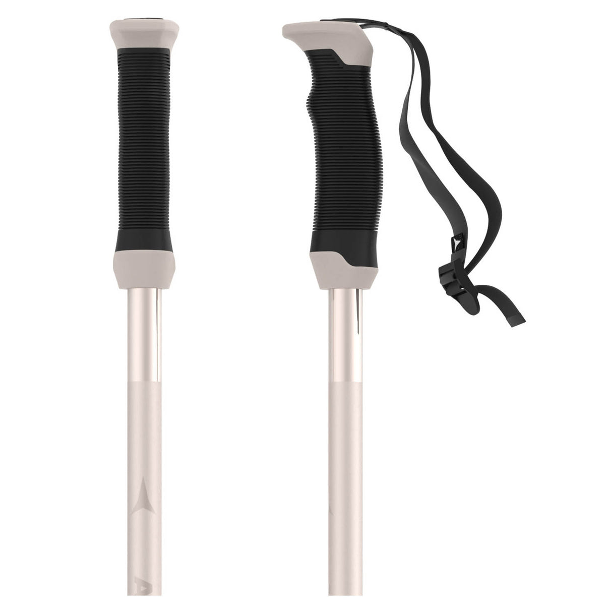 AMT SQS W Ski Pole