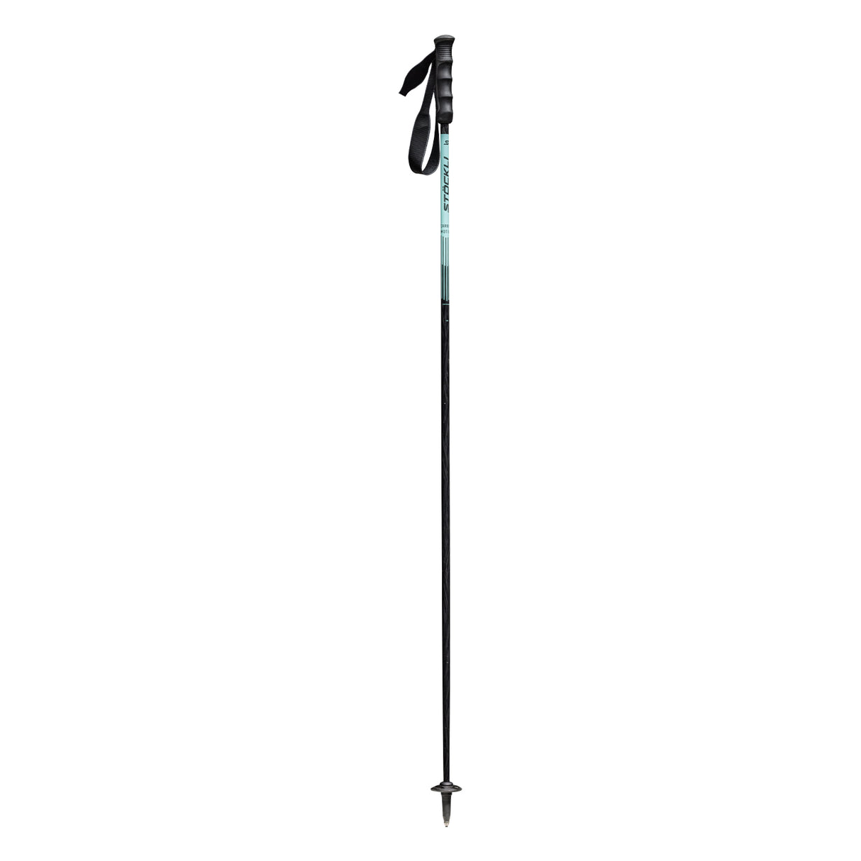 Carbon Motion Ski Poles