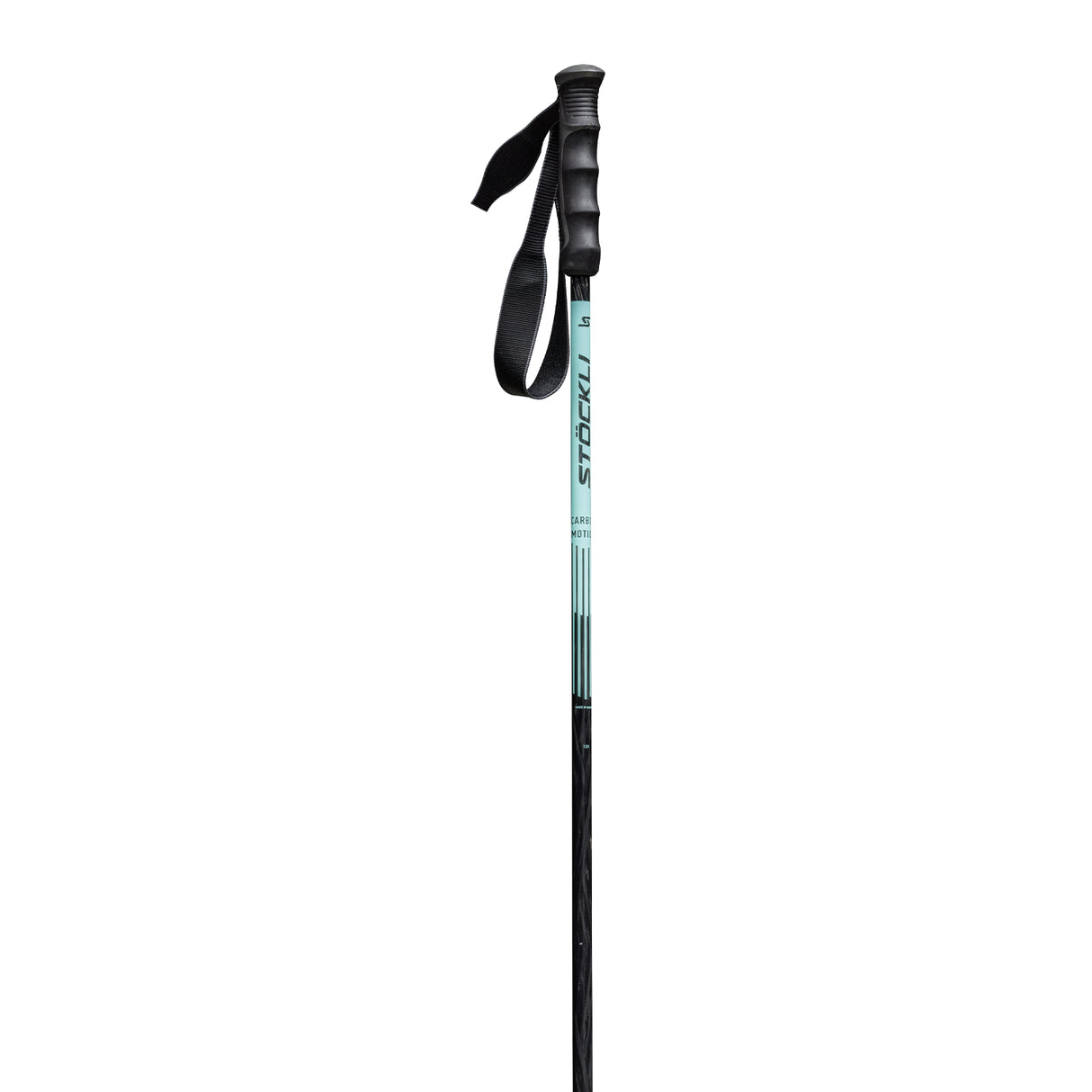Carbon Motion Ski Poles