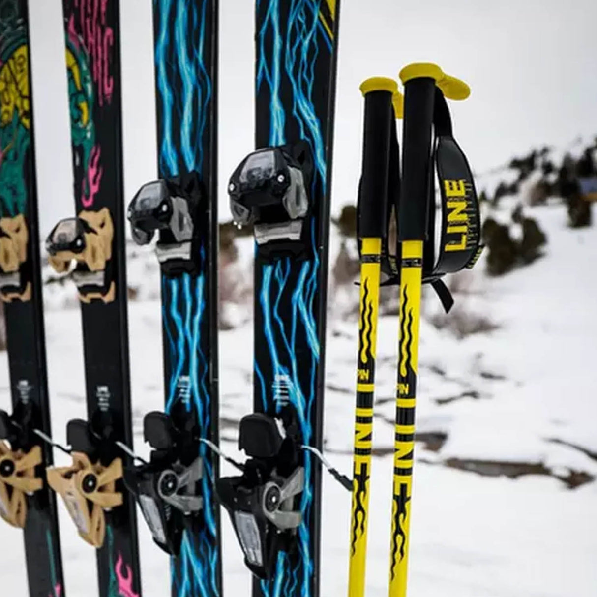 Pin Ski Poles 2024 - Snowtrax