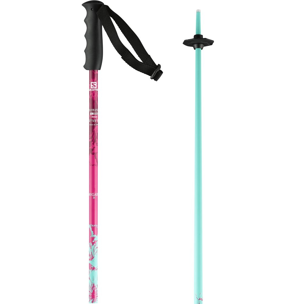Salomon Brigade Jr Girl Ski Pole Pink/Blue 2018