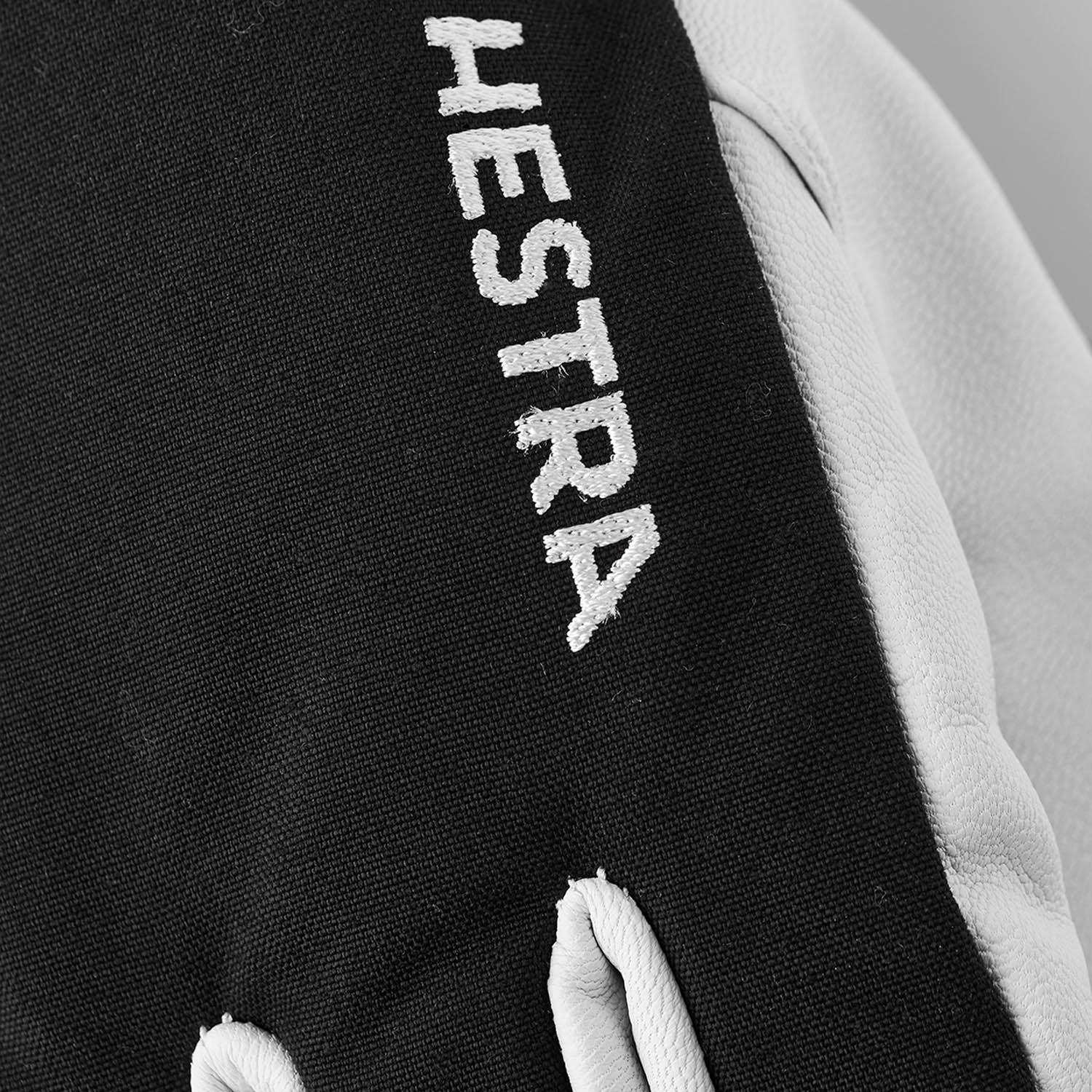 Hestra Army Leather Heli Ski Gloves Black 2021
