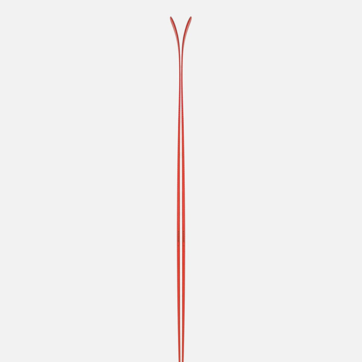 Camox Freebird Skis and Pilus Skins 2026