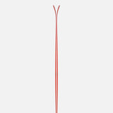 Camox Freebird Skis and Pilus Skins 2026