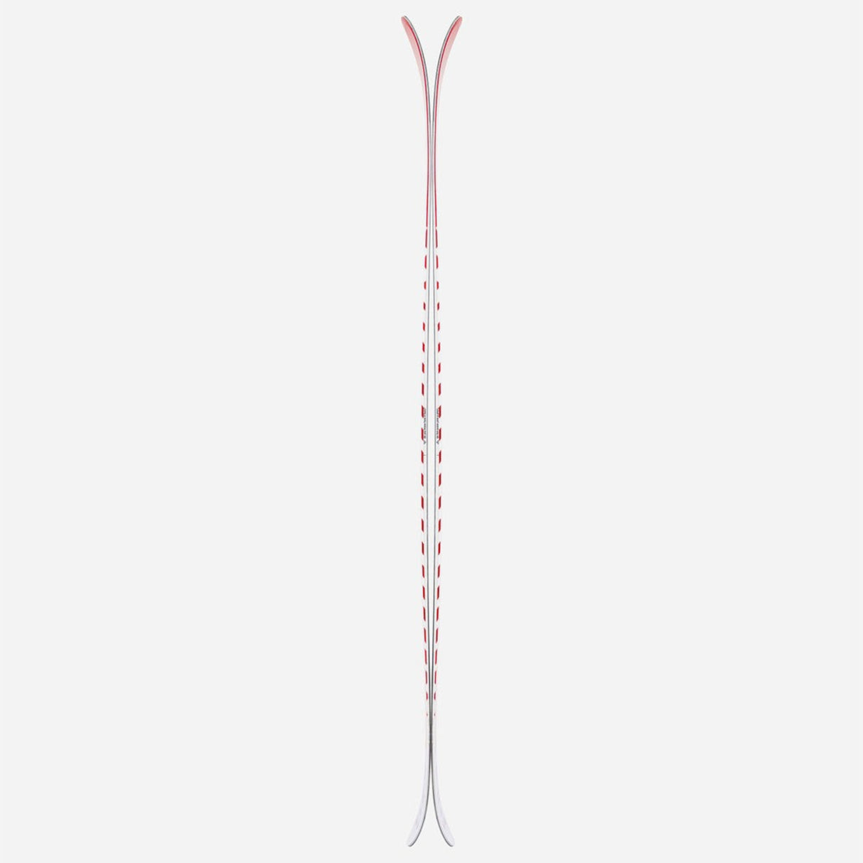 Camox Skis 2026