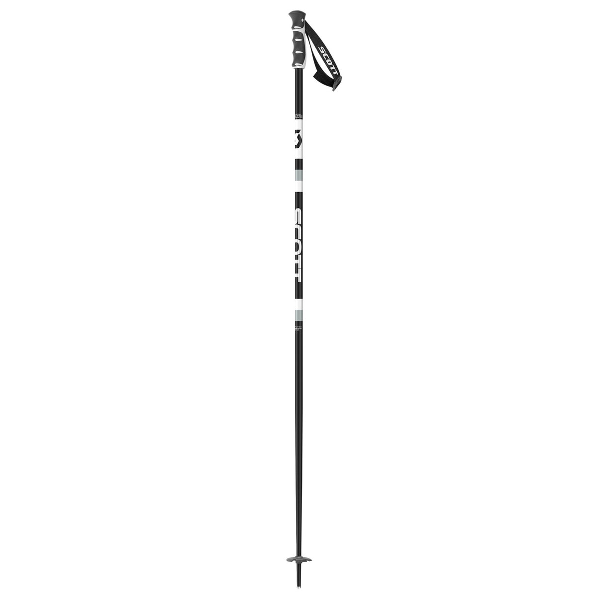 Sun Valley Ski Poles