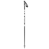Sun Valley Ski Poles