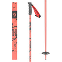 SEA Ski Poles