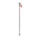 SEA Ski Poles