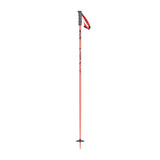 SEA Ski Poles