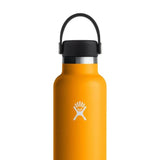 21oz Standard Mouth Water Bottle with Flex Cap