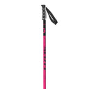 SEA Ski Poles