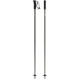 Cloud Lite Ski Poles