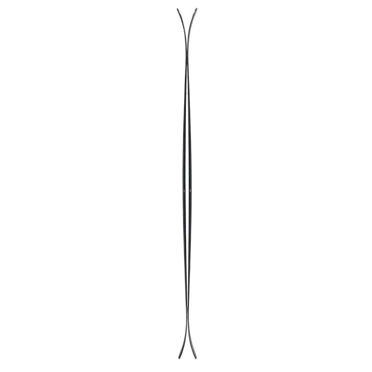 ARV 100 Skis 2026