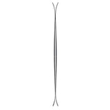 ARV 100 Skis 2026