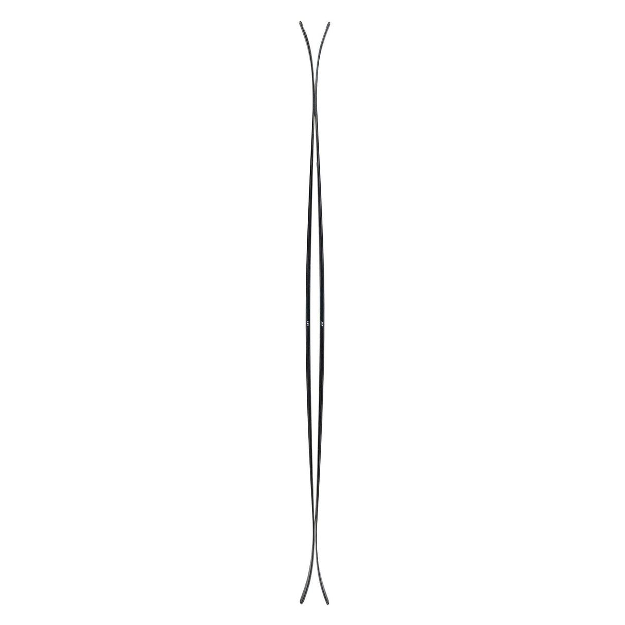 ARV 106 Skis 2026