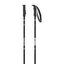 AMT Ski Poles