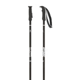 AMT Ski Poles