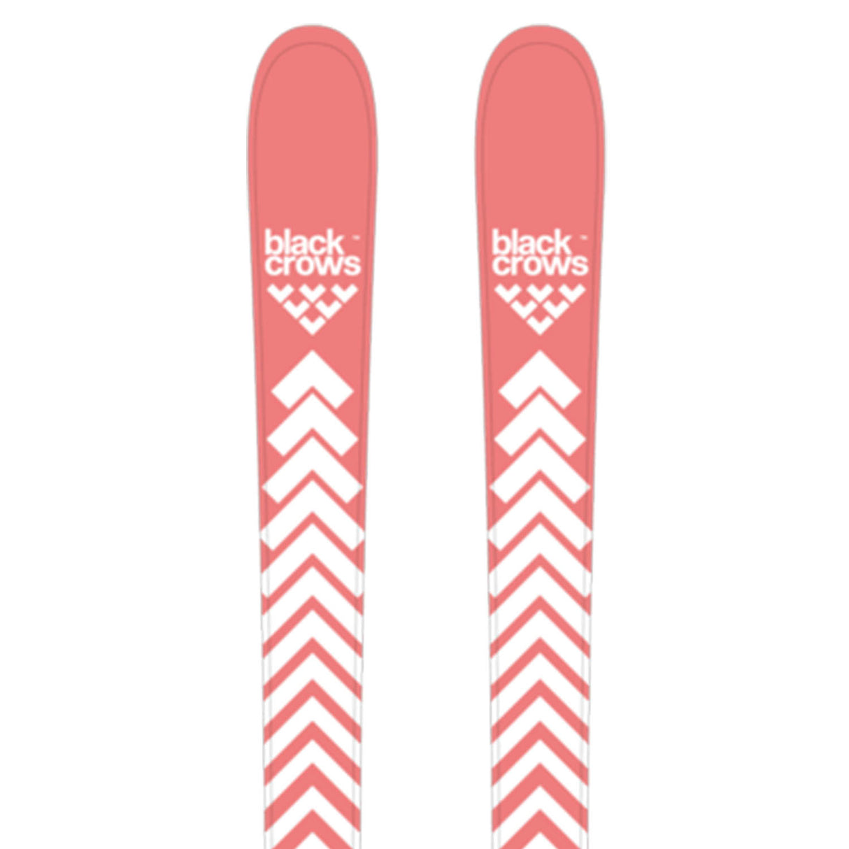 Camox Birdie Skis 2026