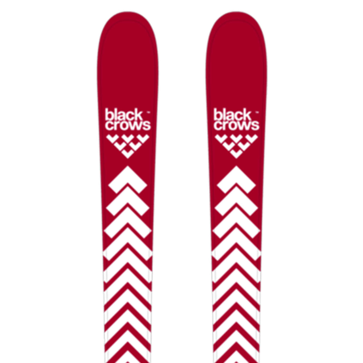 Camox Skis 2026