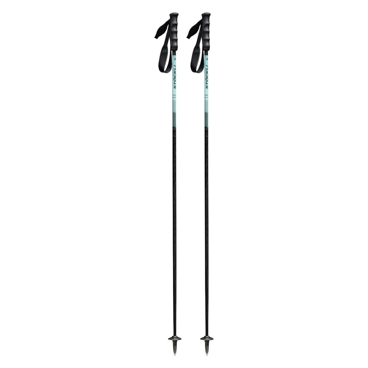 Carbon Motion Ski Poles