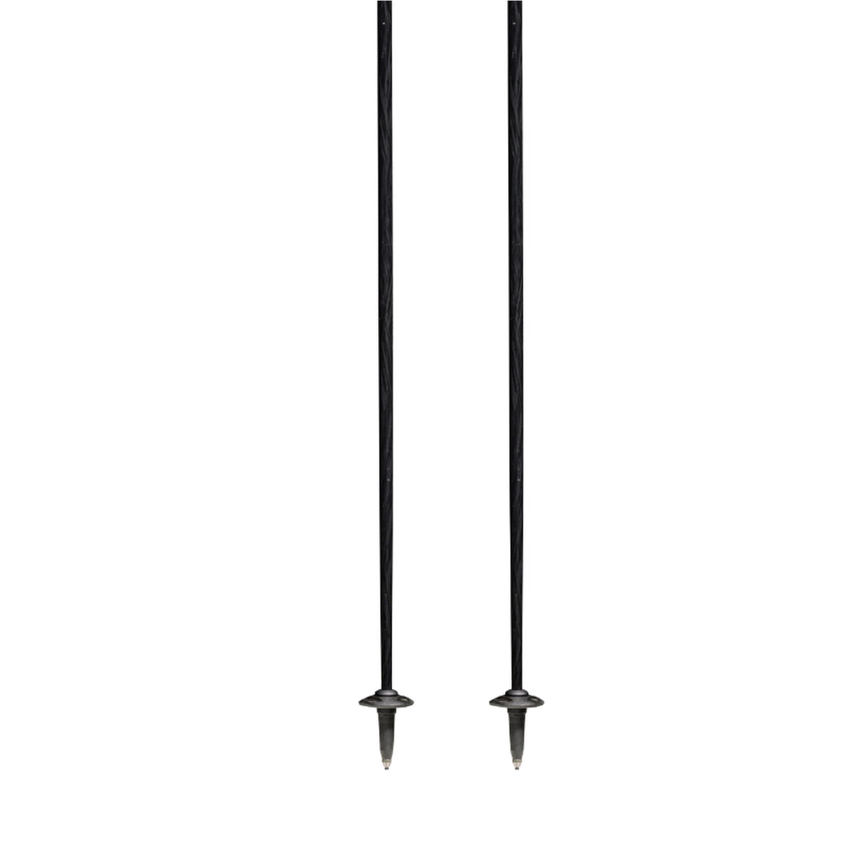 Carbon Motion Ski Poles