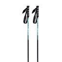 Carbon Motion Ski Poles