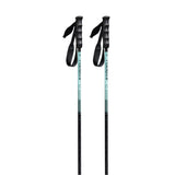 Carbon Motion Ski Poles
