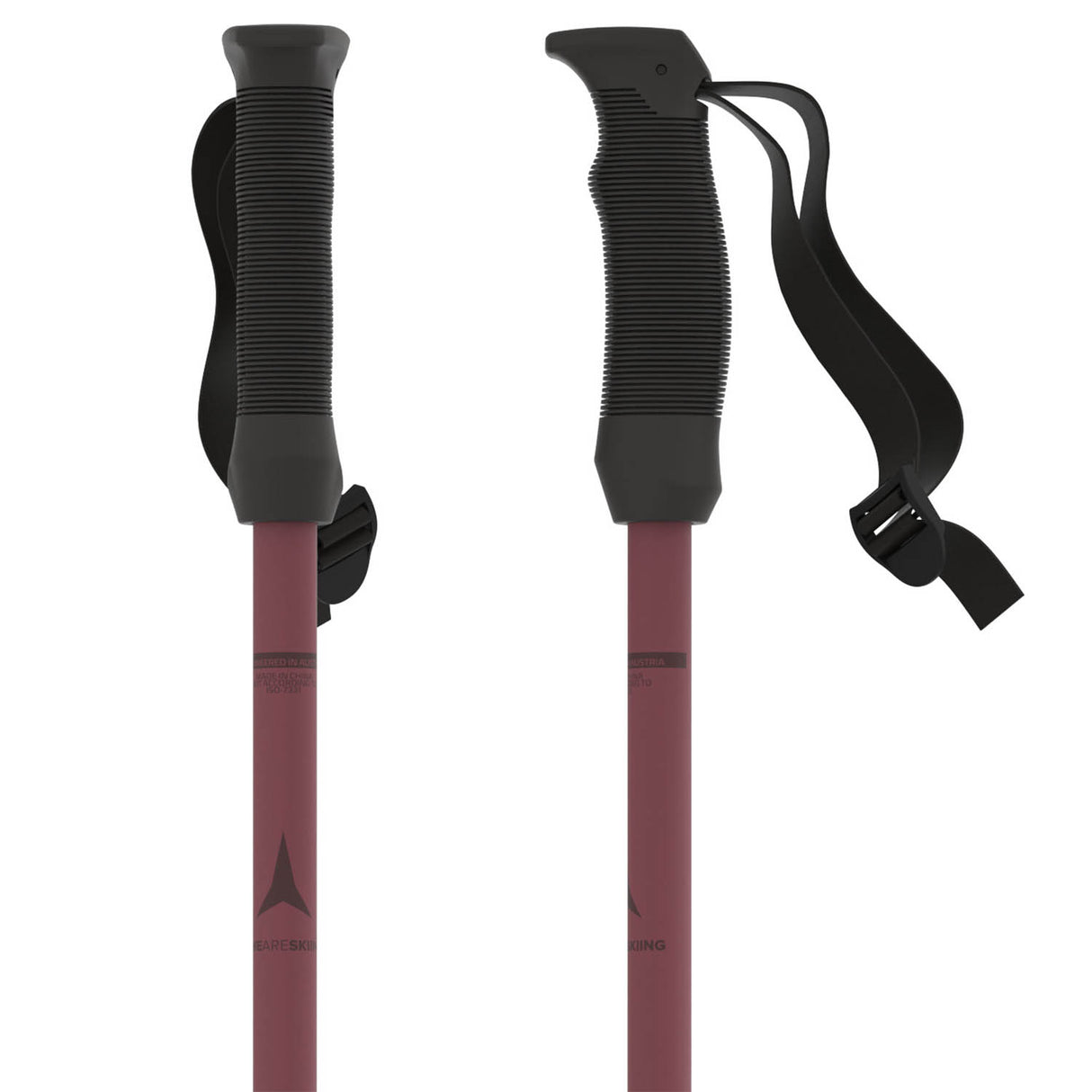 Cloud Ski Poles