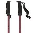 Cloud Ski Poles