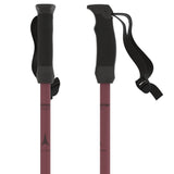 Cloud Ski Poles