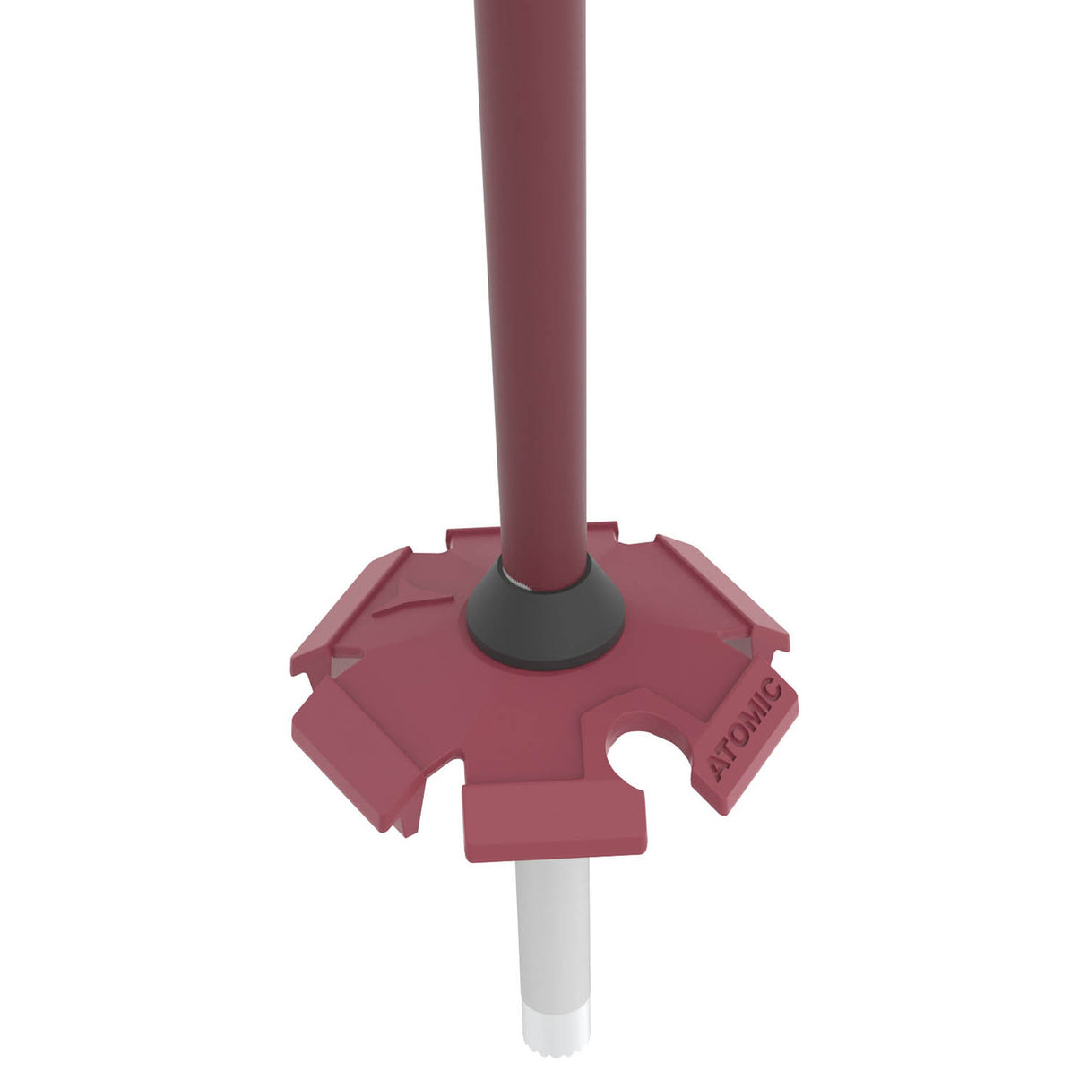 Cloud Ski Poles
