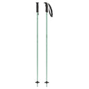 Cloud Ski Poles