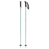 Cloud Ski Poles