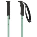 Cloud Ski Poles