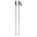 Cloud Ski Poles