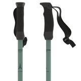 Cloud Ski Poles
