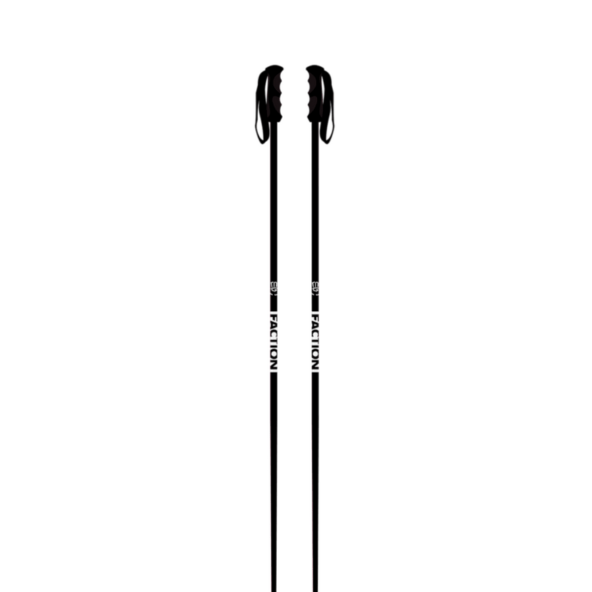 Prodigy Ski Poles