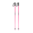 Prodigy Ski Poles